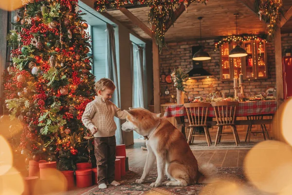 Petit Enfant Souriant Amusant Avec Chien Attendant Miracle Père Noël — Photo