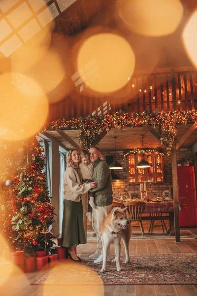 Evde Noel Baba 'yı Akita Inu ile bekleyen örgü bej kazaklı mutlu aile portresi. Gülümseyen ebeveynler küçük oğlunu kucaklıyor ve öpüyor. 25 Aralık Noel ağacının ışıkları altında Noel 'i kutluyor.