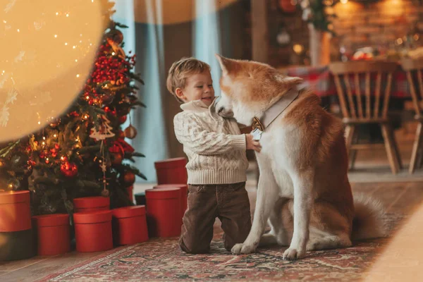 Uśmiechnięte Małe Dziecko Bawiące Się Psem Czekającym Cud Mikołaja Noel — Zdjęcie stockowe