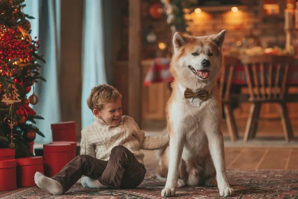 Gülümseyen Küçük Çocuk Noel Ağacında Mucizevi Noel Baba Beklerken Köpekle — Stok fotoğraf
