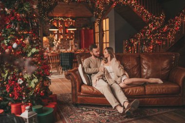 25 Aralık arifesinde evde kucaklaşan güzel bir çiftin portresi. Aşıklar gülüyor, öpücükler evde Noel 'i bekliyor. Yeni yılı kutluyoruz. Çiçek yakıyoruz. Zarif örgü kıyafetlerle süsleniyoruz.