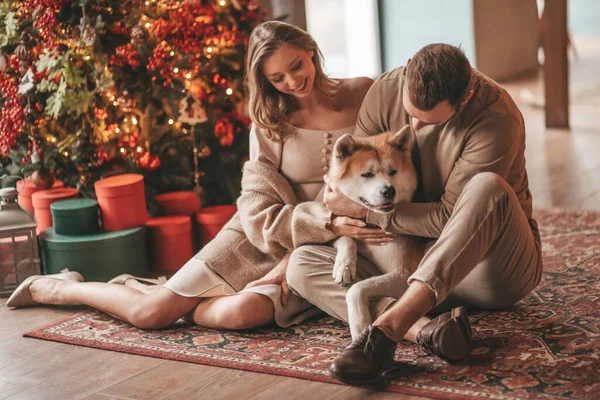 25 Aralık arifesinde evde Akia Inu köpeğiyle kucaklaşan genç bir çiftin portresi. Örgü ören şık elbiseli insanlar, yeni yılı kutlayan şefkat dolu öpücükler, Noel ışıkları, Noel ağacı.