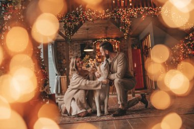 25 Aralık arifesinde evde Akia Inu köpeğiyle kucaklaşan genç bir çiftin portresi. Örgü ören şık elbiseli insanlar, yeni yılı kutlayan şefkat dolu öpücükler, Noel ışıkları, Noel ağacı.