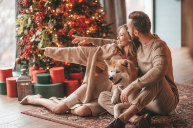 25 Aralık arifesinde evde Akia Inu köpeğiyle kucaklaşan genç bir çiftin portresi. Örgü ören şık elbiseli insanlar, yeni yılı kutlayan şefkat dolu öpücükler, Noel ışıkları, Noel ağacı.