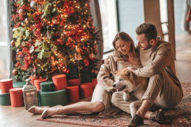 25 Aralık arifesinde evde Akia Inu köpeğiyle kucaklaşan genç bir çiftin portresi. Örgü ören şık elbiseli insanlar, yeni yılı kutlayan şefkat dolu öpücükler, Noel ışıkları, Noel ağacı.