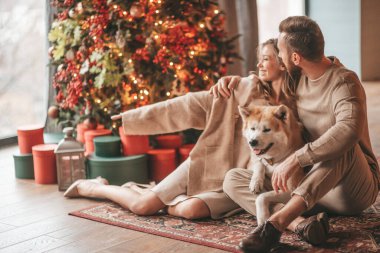 25 Aralık arifesinde evde Akia Inu köpeğiyle kucaklaşan genç bir çiftin portresi. Örgü ören şık elbiseli insanlar, yeni yılı kutlayan şefkat dolu öpücükler, Noel ışıkları, Noel ağacı.