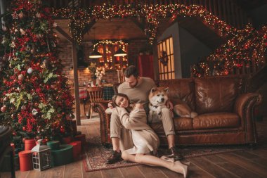 25 Aralık arifesinde evde Akia Inu köpeğiyle kucaklaşan genç bir çiftin portresi. Örgü ören şık elbiseli insanlar, yeni yılı kutlayan şefkat dolu öpücükler, Noel ışıkları, Noel ağacı.