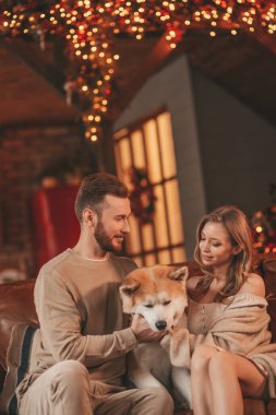 25 Aralık arifesinde evde Akia Inu köpeğiyle kucaklaşan genç bir çiftin portresi. Örgü ören şık elbiseli insanlar, yeni yılı kutlayan şefkat dolu öpücükler, Noel ışıkları, Noel ağacı.