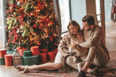 25 Aralık arifesinde evde Akia Inu köpeğiyle kucaklaşan genç bir çiftin portresi. Örgü ören şık elbiseli insanlar, yeni yılı kutlayan şefkat dolu öpücükler, Noel ışıkları, Noel ağacı.