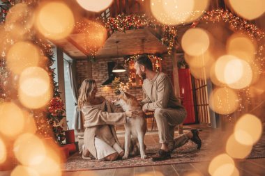 25 Aralık arifesinde evde Akia Inu köpeğiyle kucaklaşan genç bir çiftin portresi. Örgü ören şık elbiseli insanlar, yeni yılı kutlayan şefkat dolu öpücükler, Noel ışıkları, Noel ağacı.