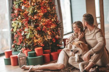 25 Aralık arifesinde evde Akia Inu köpeğiyle kucaklaşan genç bir çiftin portresi. Örgü ören şık elbiseli insanlar, yeni yılı kutlayan şefkat dolu öpücükler, Noel ışıkları, Noel ağacı.