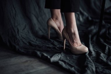 Yetişkin, zarif, çok ırklı genç kızlar resmi gece kıyafetleriyle farklı renklerde sutyenle. Şık sarışın ve kızıl saçlı moda modacıları. Moda kıyafetleriyle stüdyoda poz veriyorlar. Gömlek yok.