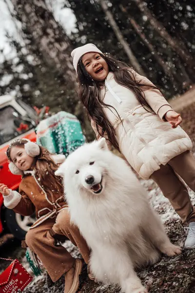 Petites Filles Asiatiques Caucasiennes Passer Temps Avec Chien Blanc Samoyed — Photo