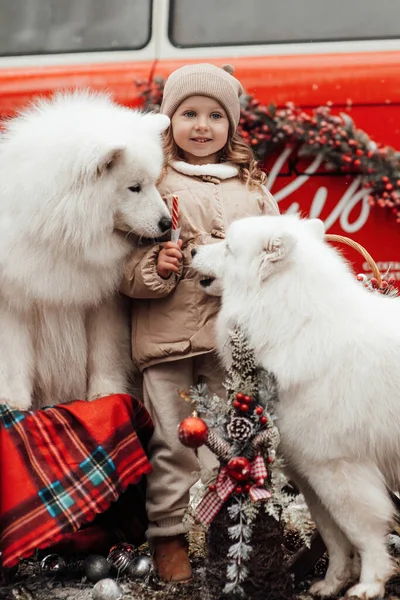 小女孩在户外庆祝圣诞节和新年寒假 带着白色萨摩亚狗的孩子开心地在耶诞老巴附近拥抱 — 图库照片