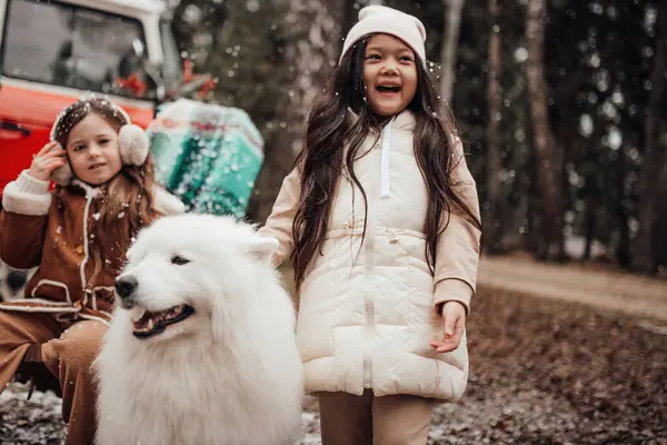 Маленькие Азиатские Кавказские Девочки Проводят Время Белой Самоед Собакой Возле — стоковое фото