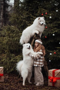 Noel 'i ve yeni yılı kutlayan bayan çocuk kış tatilini dışarıda kutluyor. Küçük kız açık havada beyaz Samoylu köpekle Noel otobüsünün yanında eğleniyor. Çocukluğun tadını çıkarıyor.