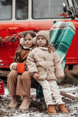 Noel 'i ve yeni yılı kutlayan küçük kızlar kış tatillerini dışarıda geçiriyorlar. Aktif küçük kızlar kozalaklı ormanda keyifle vakit geçiriyorlar. Çocukluğun tadını çıkarıyorlar.