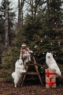 Noel 'i ve yeni yılı kutlayan bayan çocuk kış tatilini dışarıda kutluyor. Küçük kız açık havada beyaz Samoylu köpekle Noel otobüsünün yanında eğleniyor. Çocukluğun tadını çıkarıyor.