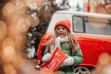 Noel 'i ve yeni yılı kutlayan bayan çocuk kış tatilini dışarıda kutluyor. Küçük kız açık havada Noel Baba 'ya kırmızı zarfla mektup yazıp mucize bekliyor.