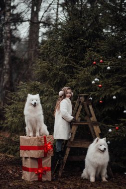 Noel 'i ve yeni yılı kutlayan bayan çocuk kış tatilini dışarıda kutluyor. Küçük kız açık havada beyaz Samoylu köpeklerle Noel otobüsünün yanında eğleniyor. Çocukluğun tadını çıkarıyor.