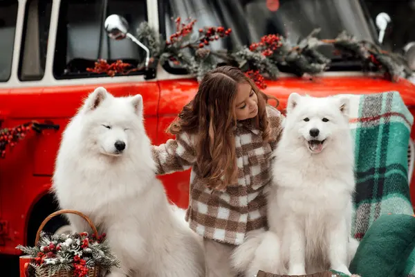 クリスマスと新年の冬休みシーズンの屋外を祝う女性の子供 子供の頃を楽しんでいるXmasバス近くの白いサモイド犬とオープンエアで楽しい時間を過ごす小さな女の子 — ストック写真