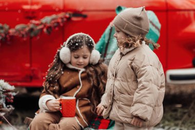 Noel 'i ve yeni yılı kutlayan küçük kızlar kış tatillerini dışarıda geçiriyorlar. Aktif küçük kızlar kozalaklı ormanda keyifle vakit geçiriyorlar. Çocukluğun tadını çıkarıyorlar.