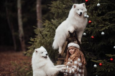 Noel 'i ve yeni yılı kutlayan bayan çocuk kış tatilini dışarıda kutluyor. Küçük kız açık havada beyaz Samoylu köpekle Noel otobüsünün yanında eğleniyor. Çocukluğun tadını çıkarıyor.