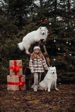 Noel 'i ve yeni yılı kutlayan bayan çocuk kış tatilini dışarıda kutluyor. Küçük kız açık havada beyaz Samoylu köpeklerle Noel otobüsünün yanında eğleniyor. Çocukluğun tadını çıkarıyor.