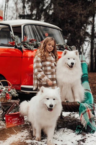 Noel 'i ve yeni yılı kutlayan bayan çocuk kış tatilini dışarıda kutluyor. Küçük kız açık havada beyaz Samoylu köpekle Noel otobüsünün yanında eğleniyor. Çocukluğun tadını çıkarıyor.