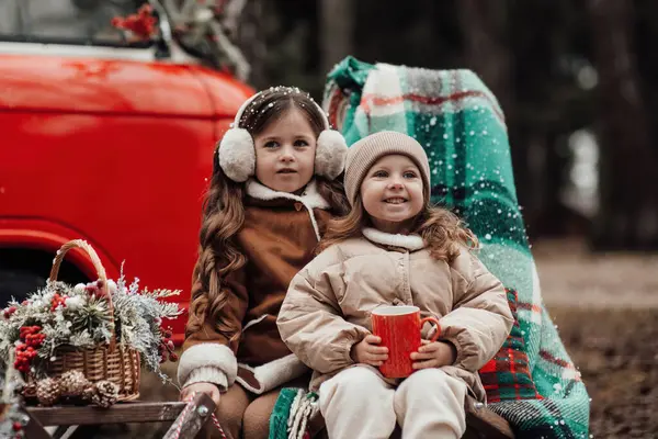 小女孩们在户外庆祝圣诞节和新年寒假 活泼的小女孩在针叶林欢度童年时光 — 图库照片