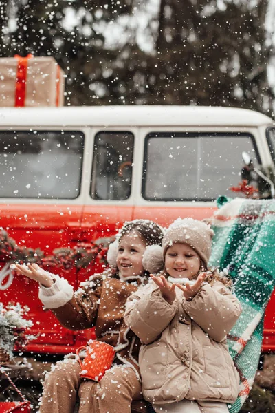 小女孩们在户外庆祝圣诞节和新年寒假 活泼的小女孩在针叶林欢度童年时光 — 图库照片