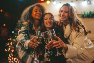 Mutlu kızlar Noel 'i ve yeni yıl tatilini dışarıda kutluyor. Genç ve çeşitli kadın arkadaşlar birlikte vakit geçirip eski Xmas karavanının yanında köpüklü şarap içerek eğleniyorlar.