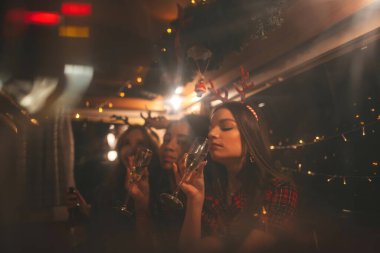 Noel 'i ve yeni yılı kutlayan mutlu kızlar kış tatili sezonunu karavanda geçirirler. Aktif, genç, çeşitli kadınlar birlikte vakit geçiriyorlar. Sarılırken eğleniyorlar. Eski Xmas karavanında şarap içerken eğleniyorlar.