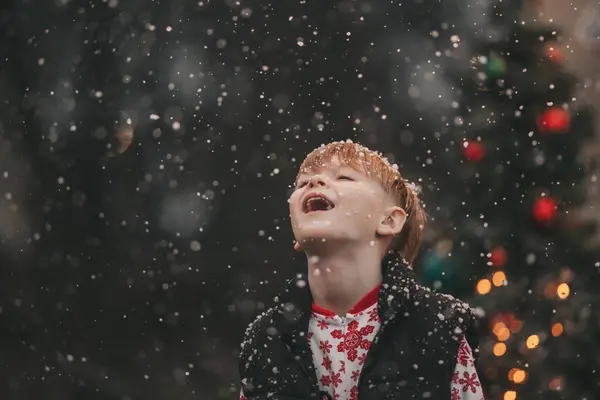 Маленький Хлопчик Святкує Сезон Різдвяних Новорічних Зимових Канікул Під Відкритим Стокова Картинка