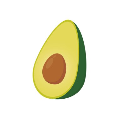 avokado vektör illüstrasyonunu keser. Beyaz arka planda izole edilmiş avokado dilimleri
