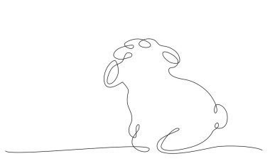 Sheep. Decoration continuous line hand drawing element for photo book, invitations. Vector stock illustration minimalism design isolated on white background. Editable stroke single line. 