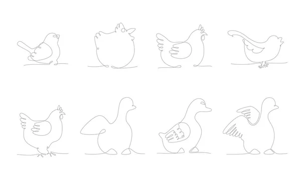 Primi Uccelli Primaverili Disegnano Mano Continua Una Linea Illustrazione Vettoriale — Vettoriale Stock