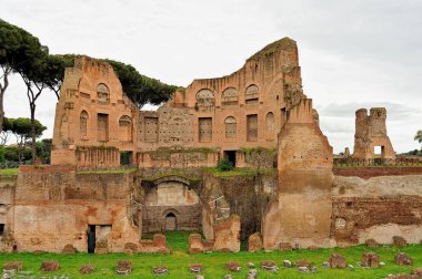 İnanılmaz Roma forumunun bir resmi.