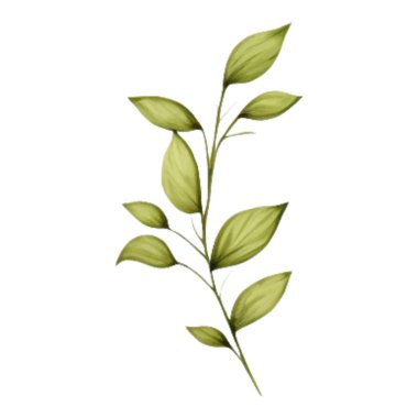 Spring Love Flowers Watercolor Illustration. Lovely Pink Pastel Flowers Spring decoration watercolor design elements.