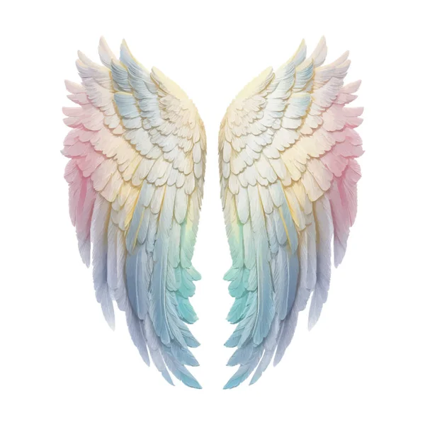 Angel Wings Pastel Gökkuşağı Llüstrasyon Clipart Tüy Tasarım Ögesi Beyaz — Stok fotoğraf