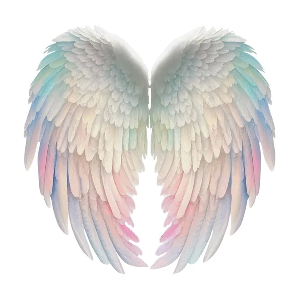 Angel Wings Pastel Gökkuşağı Llüstrasyon Clipart Tüy Tasarım Ögesi Beyaz — Stok fotoğraf