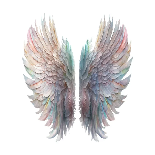 Angel Wings Pastel Rainbow Illustration Clipart Fjäder Designelement Isolerad Vit — Stockfoto