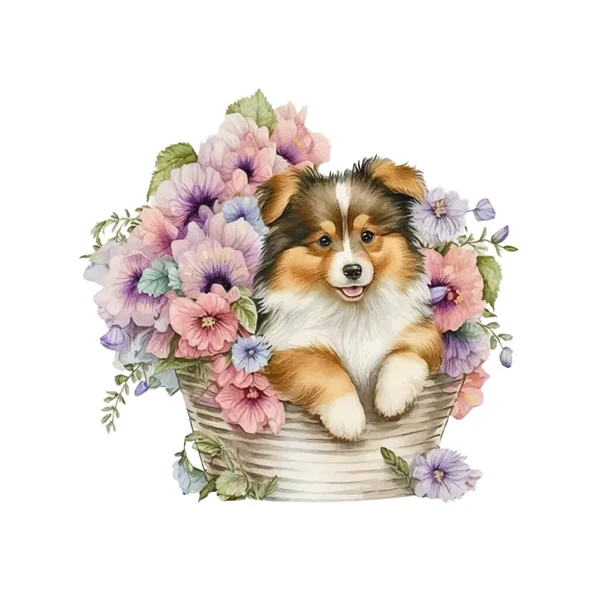 Baby Sheltie Puppy Květinovém Koši Roztomilé Štěně Košíku Akvarel Ilustrace — Stockový vektor