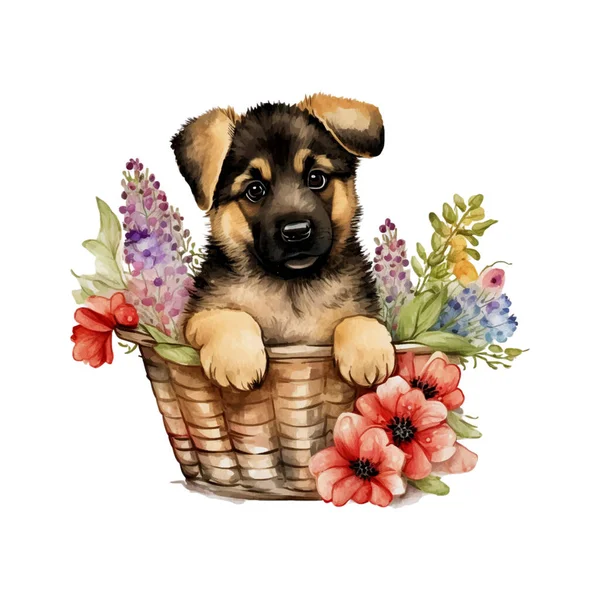 德国牧羊犬宝宝在花篮 集设计元素 邀请卡 墙壁艺术等为一体的篮子水彩画中可爱的小狗 — 图库矢量图片