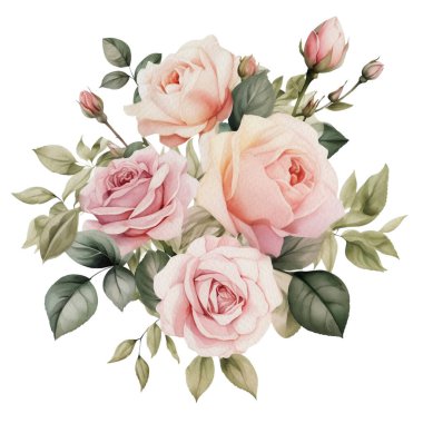 Suluboya Romantik Pembe Gül Çiçekleri Düzenleme. İzole Düğün Clipart İllüstrasyonu Davetiye Kartı, Logo, Tebrik Kartı, Afişler ve daha fazlası.