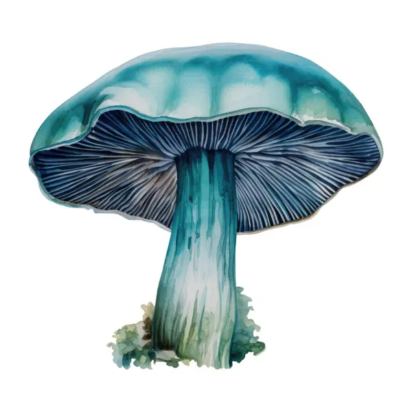 Mushroom Fungi Toadstools Nature Botanical Illustration Clipart Enchanting Fungi Toadstool — Stock Vector
