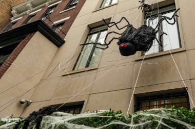 Manhattan 'da Cadılar Bayramı tatili için örümcek ağıyla dekore edilmiş apartmanın önünde. Yüksek kaliteli fotoğraf.