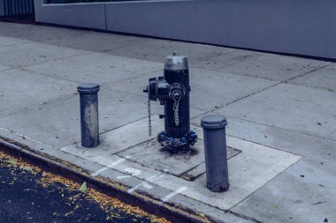 Boston kaldırımına kurulmuş klasik siyah Amerikan tipi yangın musluğu. Yüksek kaliteli fotoğraf.