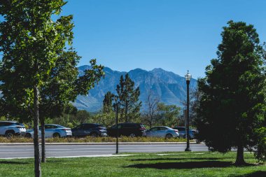 Güneşli bir günde Grassy Park Manzarası. Yüksek kaliteli fotoğraf.
