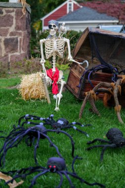  Birçok parlak ve renkli cadılar bayramı süslemeleri, iskeletler, oyulmuş balkabakları, ve bir evin bahçesinde ve ön bahçesinde korkuluklar. Yüksek kaliteli fotoğraf.